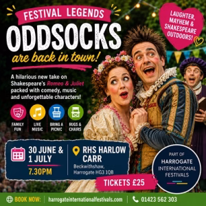 ODDSOCKS